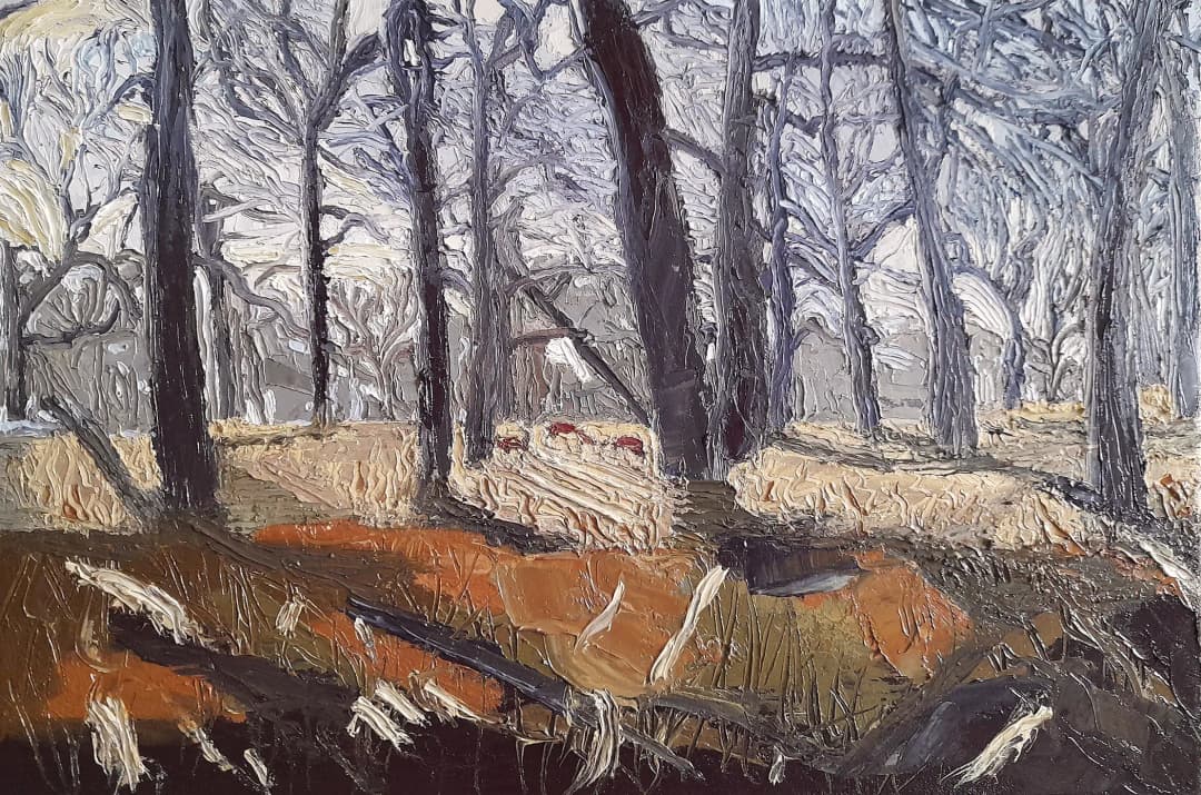 Deer in Richmond Park