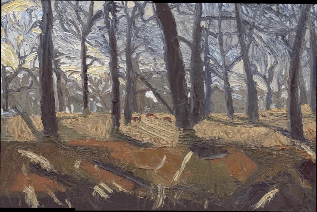 Deer in Richmond Park